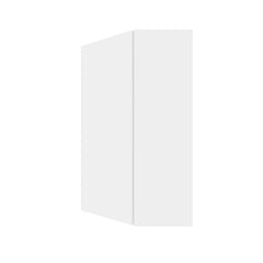 PRO-HD-HCTG24 – 24'' Extra Large Corner Tall Module All Inclusive with 1 Door